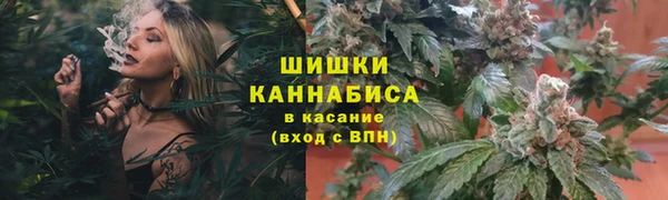 apvp Белокуриха
