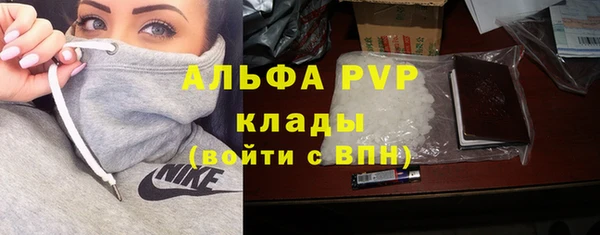 apvp Белокуриха