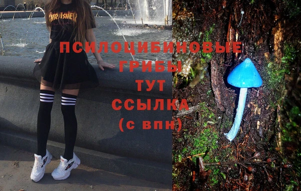 mdpv Беломорск