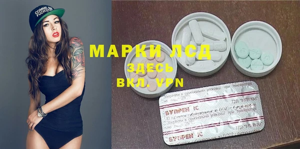 apvp Белокуриха