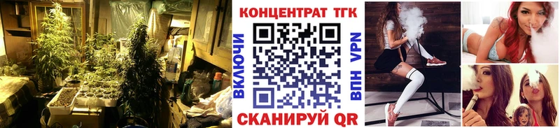 ТГК Wax  Высоковск 
